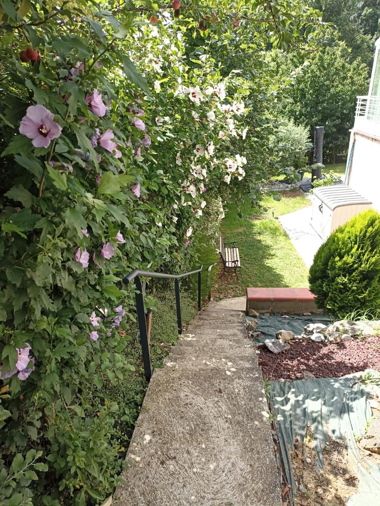 "L'Appart Ideal" Deyme Exterior photo